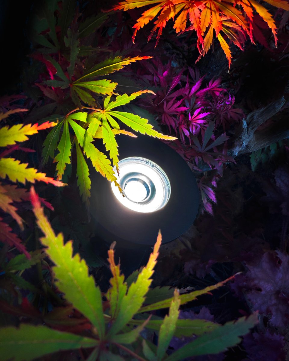Luminius Gris foncé De Lightson - Pensez &agrave; installer un d&eacute;tecteur de luminosit&eacute; qui allume automatiquement l'&eacute;clairage &agrave; la tomb&eacute;e de la nuit.