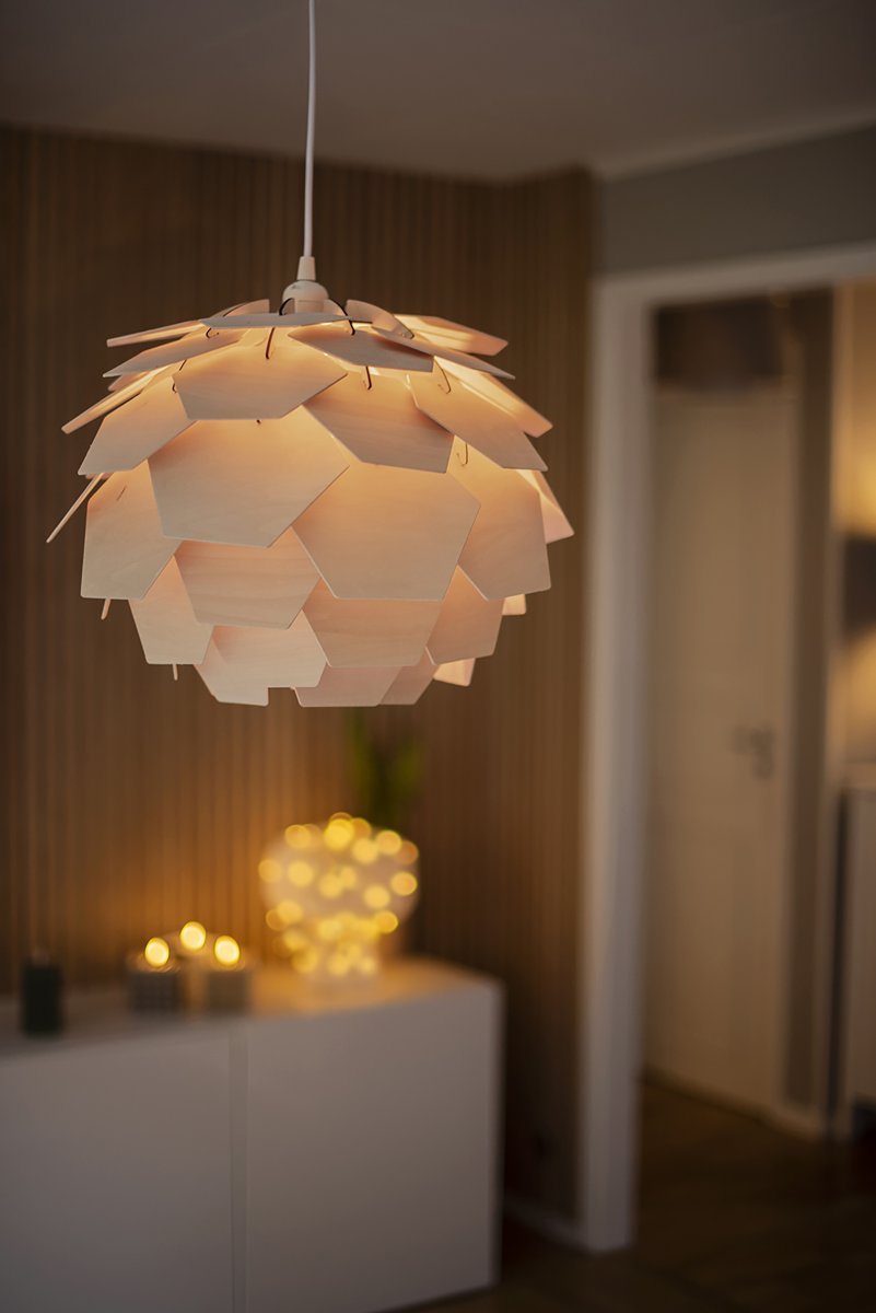 Carpatica Ø40 Nature suspension De Aneta Lighting - Le plafonnier est en plastique blanc pour suspension par crochet et est équipé d'une bande de serrage.