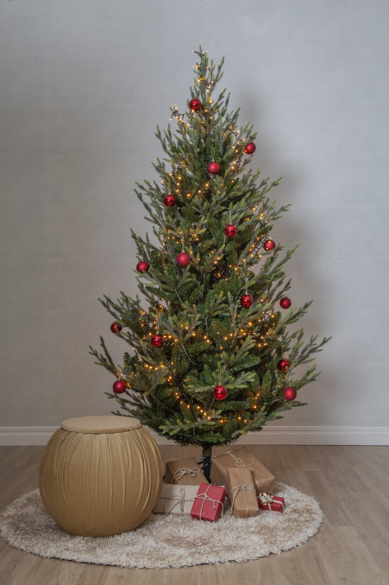 Uppsala 210cm De Star Trading - Le sapin de No&euml;l mesure 210 cm de haut et 110 cm de large.