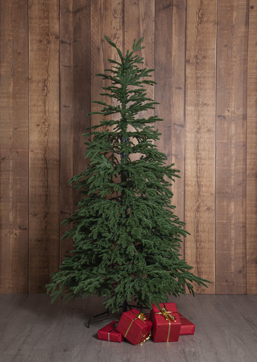 Edane 210cm Vert De Star Trading - Edane est un arbre artificiel r&eacute;aliste d'une hauteur de 210 cm et de branches l&eacute;g&egrave;rement tombantes dans une teinte vert fonc&eacute;.