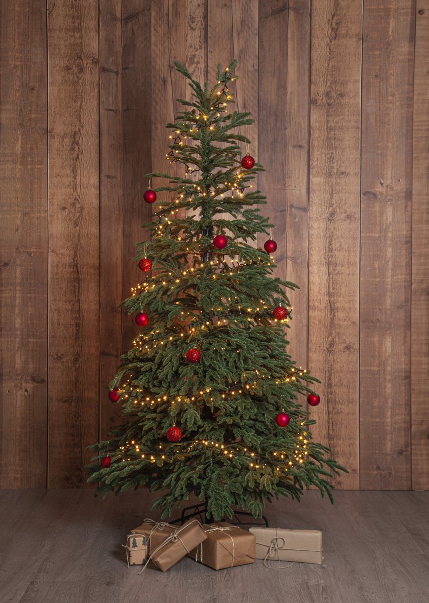 Edane 210cm Vert De Star Trading - Edane est un arbre artificiel r&eacute;aliste d'une hauteur de 210 cm et de branches l&eacute;g&egrave;rement tombantes dans une teinte vert fonc&eacute;.