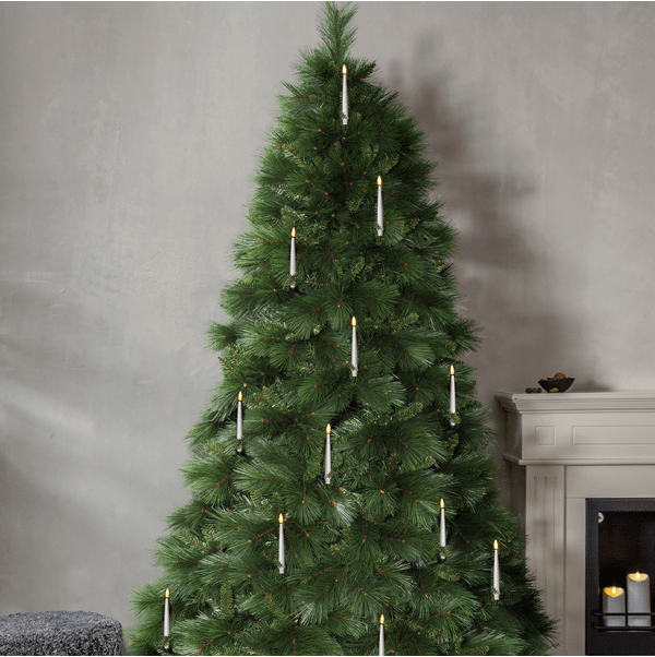 Cembra 240cm Vert De Star Trading - Le magnifique sapin artificiel Cembra de Star Trading est un sapin en forme de A aux aiguilles vari&eacute;es, lui conf&eacute;rant une apparence dense et &eacute;l&eacute;gante.