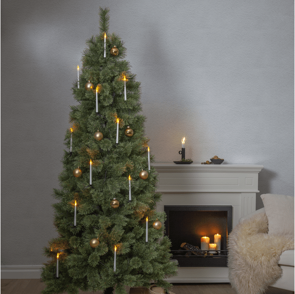 Cembrini 210cm Vert De Star Trading - Ce sapin de No&euml;l mesure 210 cm de haut et 100 cm de large, ce qui le rend id&eacute;al pour une utilisation en int&eacute;rieur comme en ext&eacute;rieur.