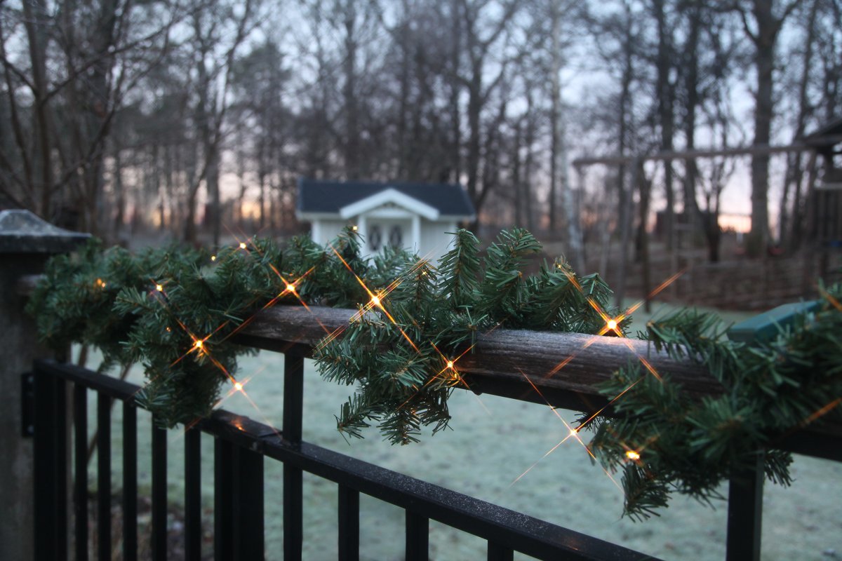 Canadian 250cm Vert De Star Trading - Guirlande &agrave; piles avec 30 lumi&egrave;res LED.