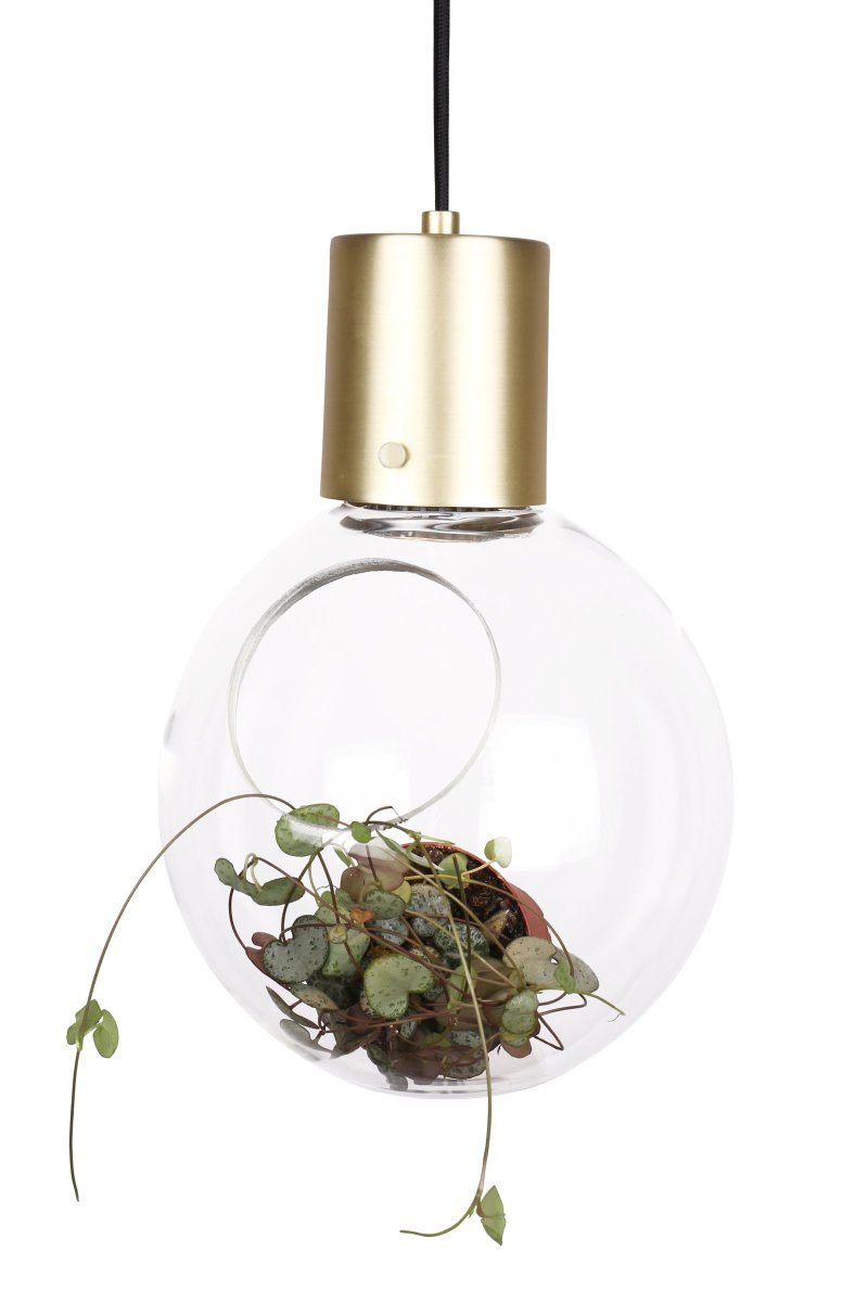 Mini Hole Ø20 Laiton brossé suspension De Globen Lighting - Petite lampe suspension/table avec ouverture biseaut&eacute;e dans le globe en verre transparent.