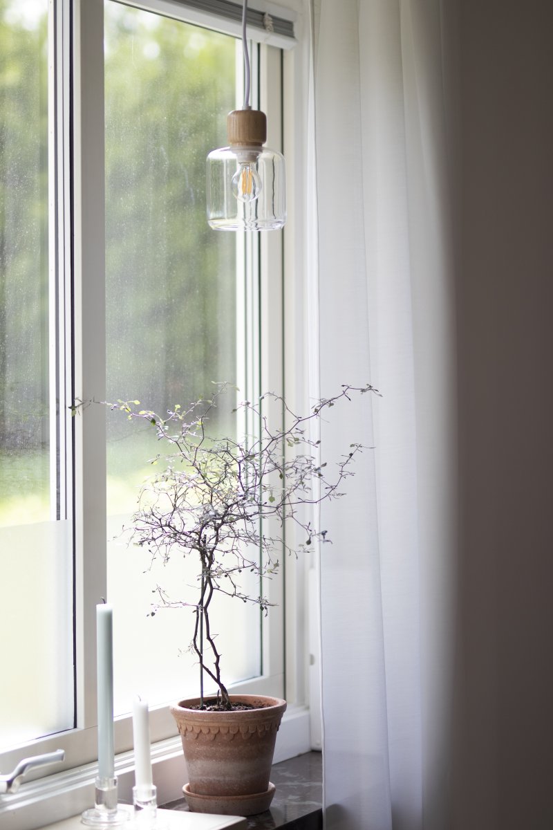 DOT Ø10 Transparent lampe de fenêtre De Globen Lighting - Le bouton en bois caractéristique contraste nettement avec l'abat-jour en verre et confère à la lampe son caractère.