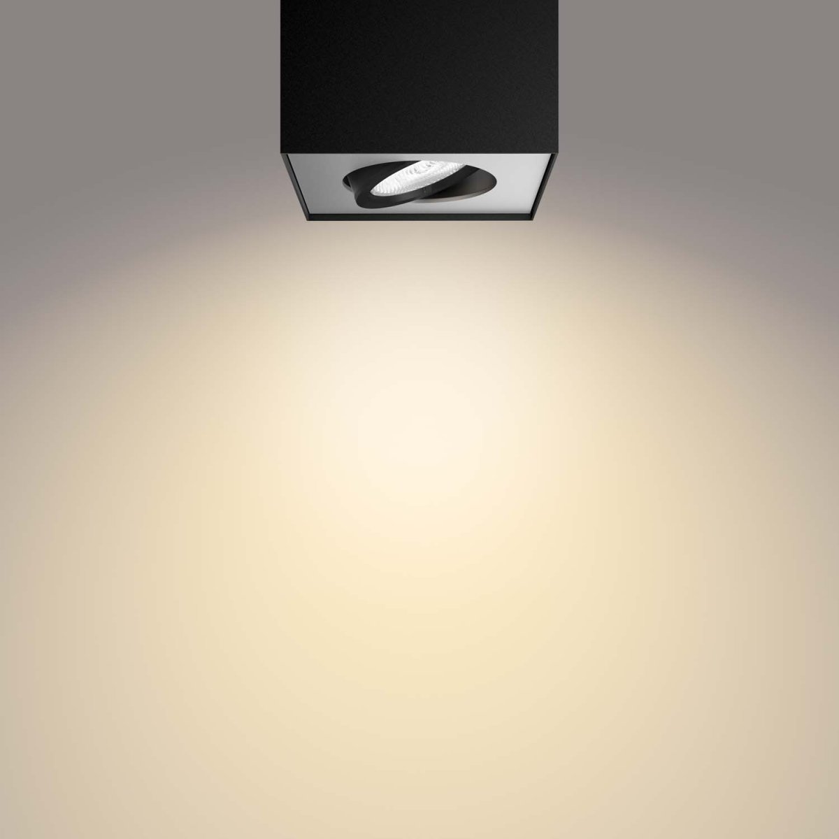 Box Noir spot De Philips - Avec les spots LED Philips WarmGlow, vous pouvez facilement régler la luminosité à votre guise, d'un éclairage fonctionnel avec beaucoup de lumière à une lueur chaleureuse et accueillante.