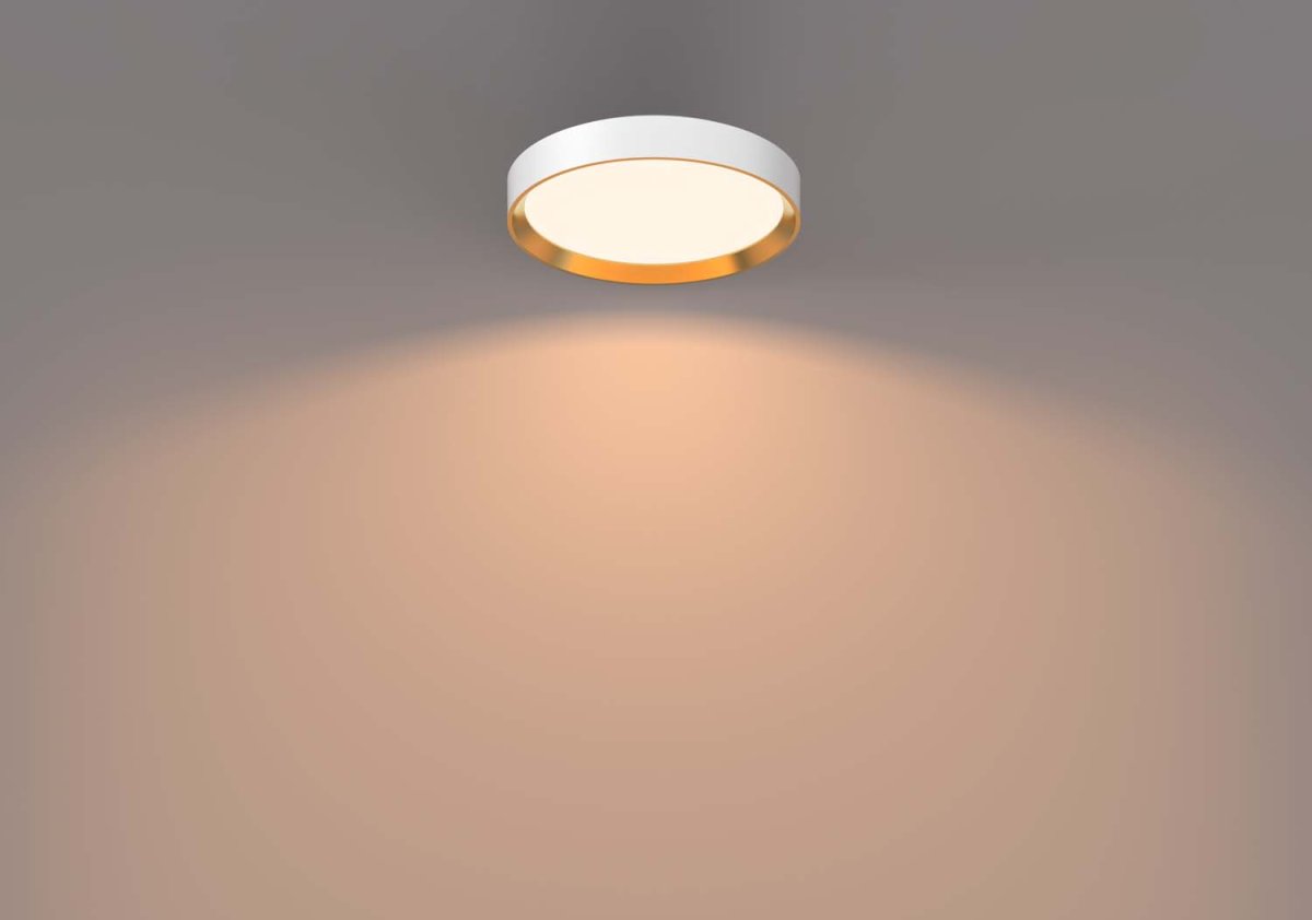 Hanno Ø38 Blanc plafonnier De Philips - Le plafonnier LED Philips Hanno SceneSwitch vous offre trois niveaux de luminosit&eacute; parfaits pour chaque occasion.