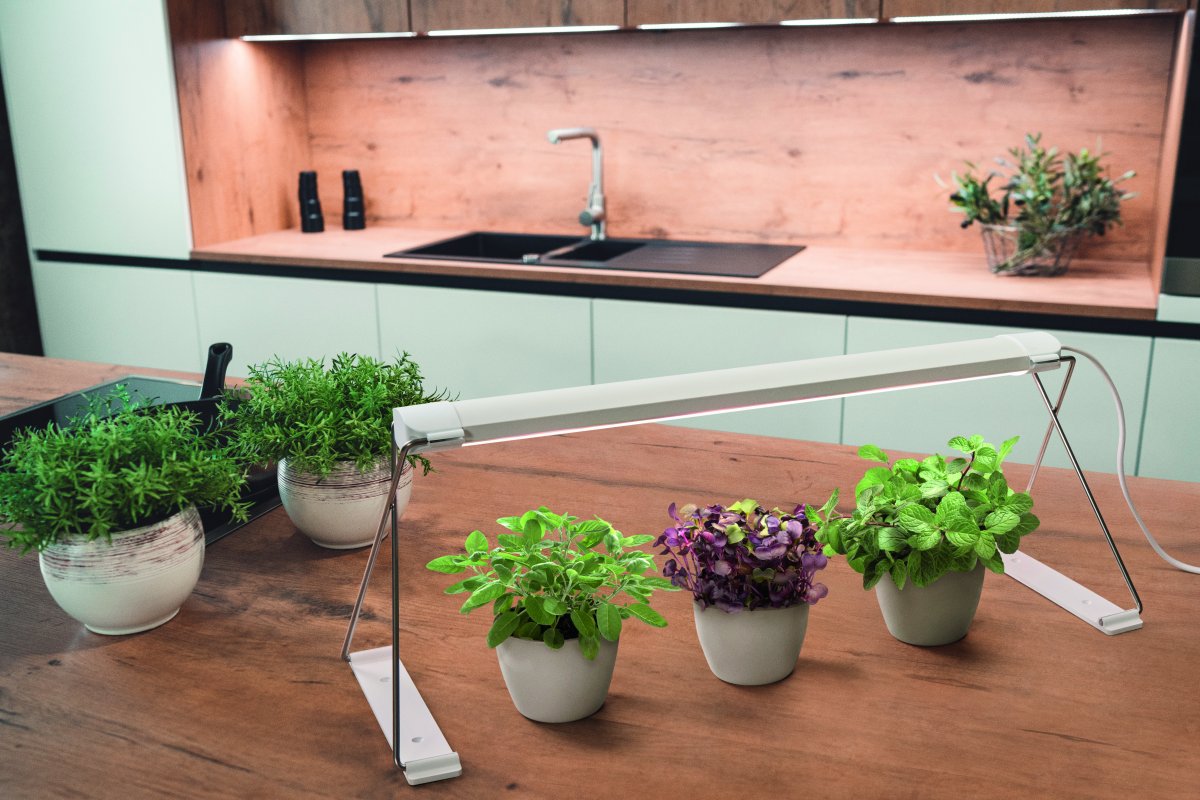 Lampe Pour Plantes Garden Light Stand Blanc De Ledvance - Il vous suffit de placer vos plantes en dessous et de les alimenter avec un spectre LED sp&eacute;cialement d&eacute;velopp&eacute; de LED blanches et rouges, qui favorisent la photosynth&egrave;se et soutiennent la croissance de la plupart des plantes.