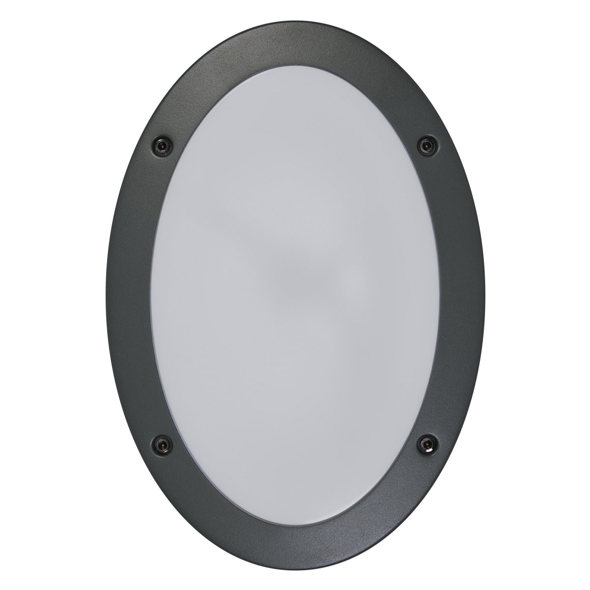 Orbi Gris foncé lampe d’extérieur De Osram - Tillverkad av pressgjuten aluminium och med IP65-klassning, &auml;r denna lampa helt skyddad mot b&aring;de damm och vatten, vilket g&ouml;r den perfekt f&ouml;r alla v&auml;derf&ouml;rh&aring;llanden.