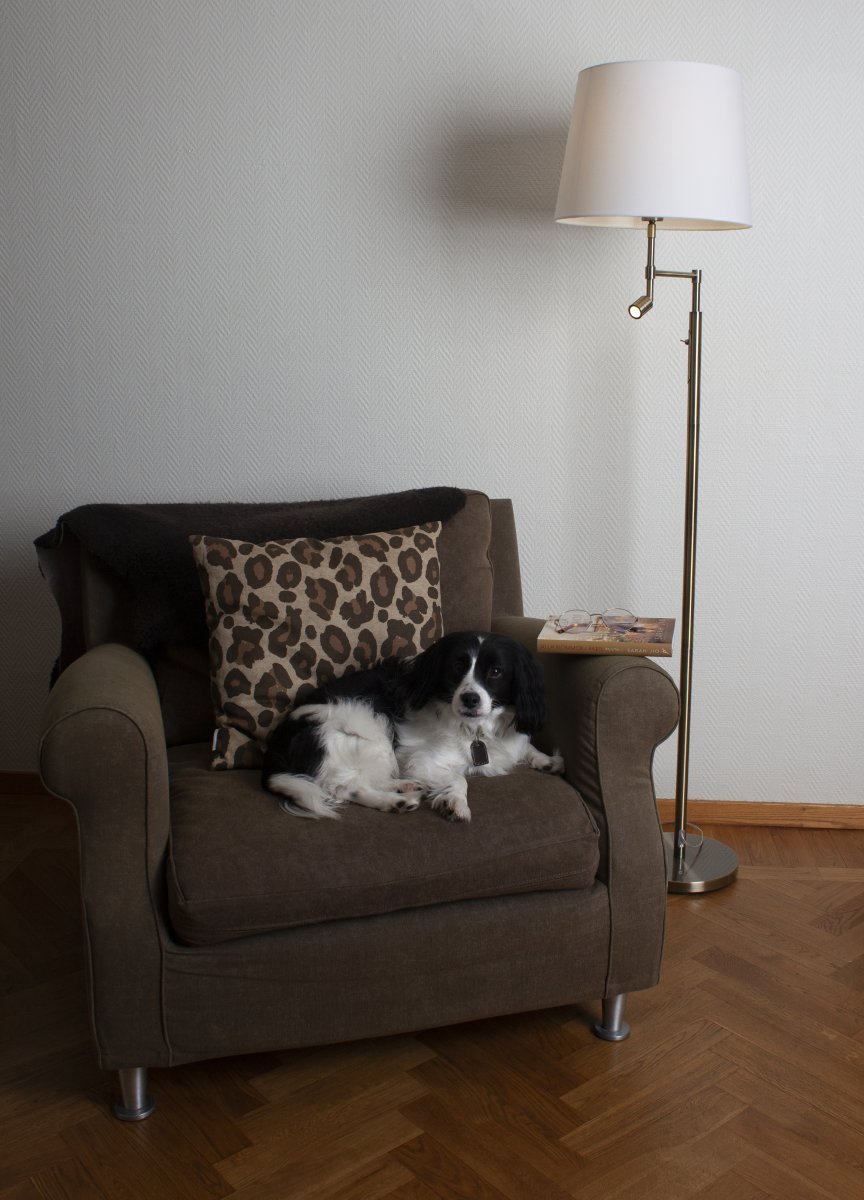Orlando Laiton antique lampadaire De By Rydéns - Grâce à la lampe LED, vous obtenez une meilleure lumière lors de la lecture, c'est pourquoi la lampe est souvent placée à côté de votre table de chevet préférée.