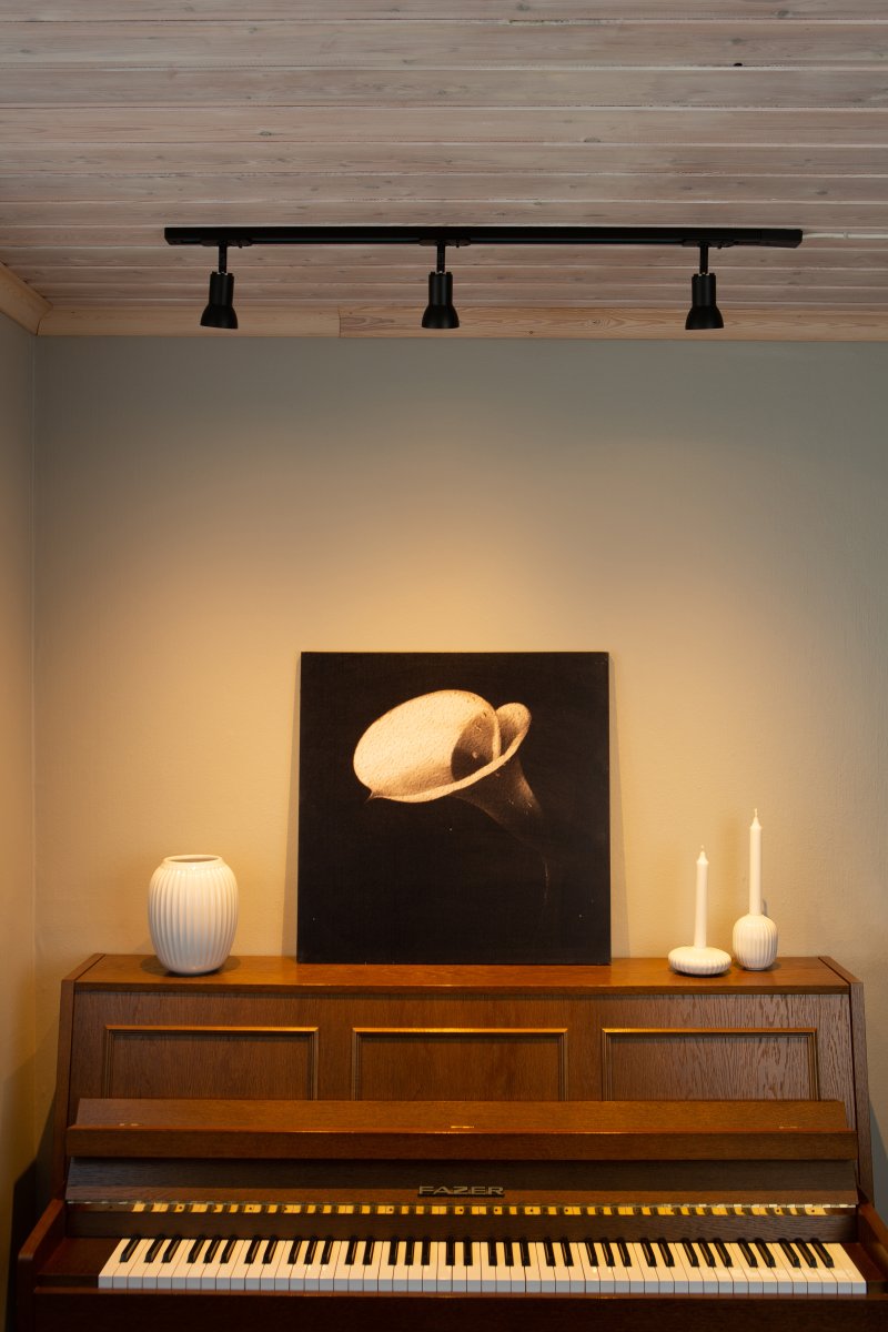 Slim spot Noir De Aneta Lighting - Spot fin pour syst&egrave;me de rail Trackline d'Aneta.
