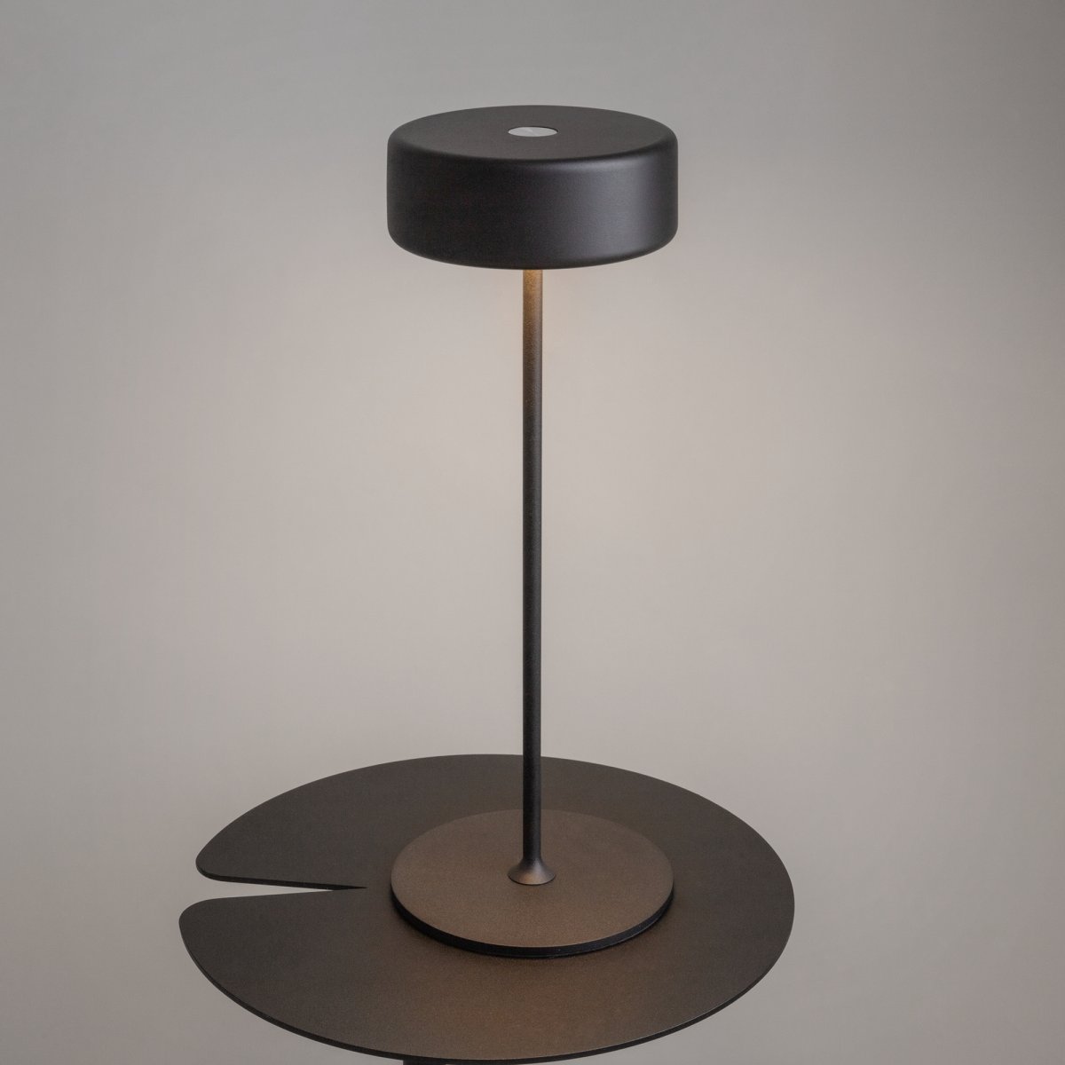 AI Collaboration 35cm Noir portable De Maytoni - la conception : avec une fine tige métallique ; une base ronde plate ou avec une base en verre dans laquelle est intégré un vase.