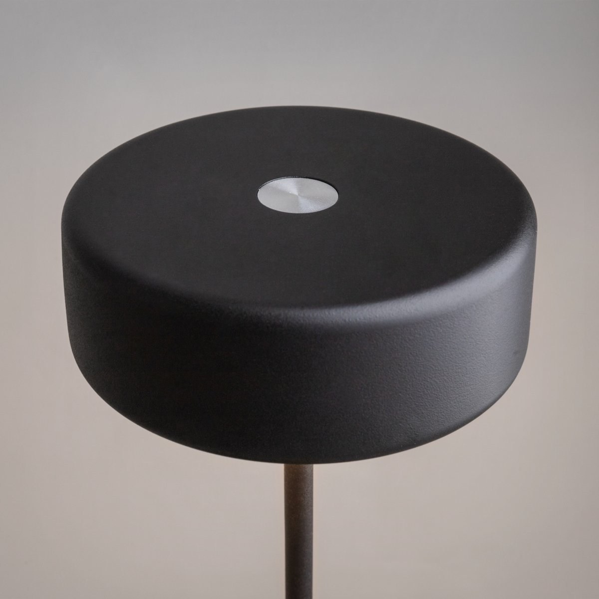 AI Collaboration 35cm Noir portable De Maytoni - la conception : avec une fine tige métallique ; une base ronde plate ou avec une base en verre dans laquelle est intégré un vase.