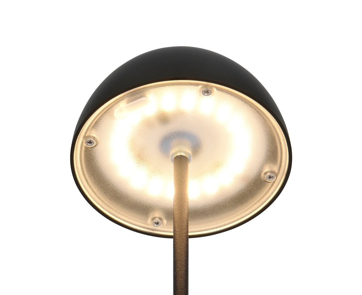 Ortiz 20cm Noir portable De Trio Lighting - 