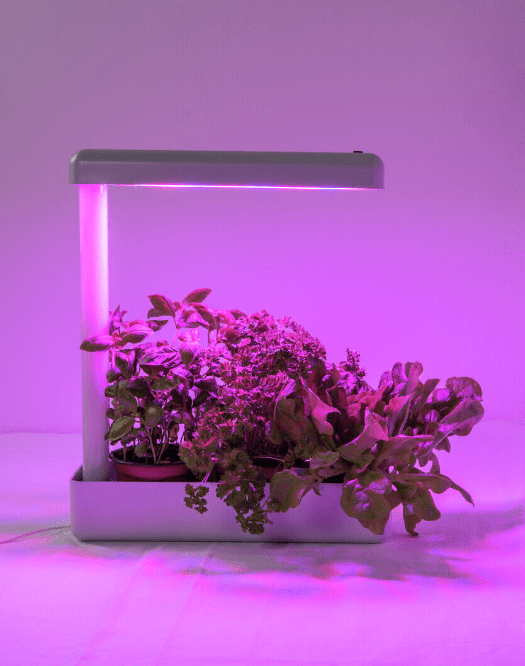 Lampe Pour Plantes Herby Blanc De Airam - La lampe de table et lampe &agrave; plantes LED Herby populaire peut &ecirc;tre utilis&eacute;e comme source de lumi&egrave;re pour les herbes, les pousses et les plantes en pot ainsi que comme lampe de table normale.