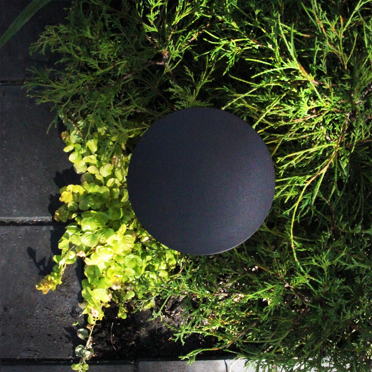 Orbit Gris foncé De Lightson - Même utilisé verticalement dans un parterre de fleurs, il est efficace et illumine les plantes environnantes, tandis que la lampe assure une répartition uniforme et fine de la lumière.