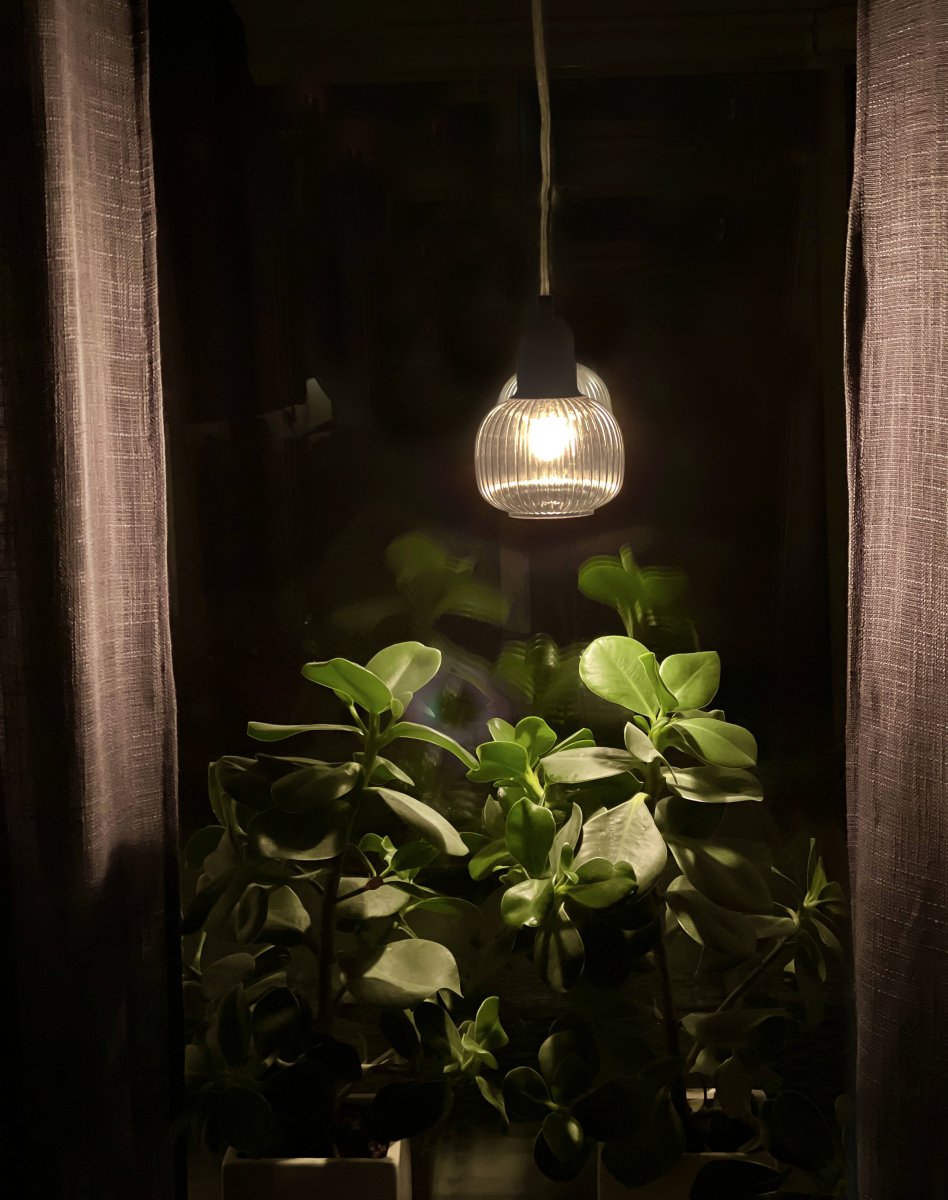 Elin Ø10 Couleur fumée lampe de fenêtre De Aneta Lighting - Laissez Elin illuminer les plantes sur le rebord de la fenêtre et créer une atmosphère chaleureuse dans la pièce, ou pourquoi ne pas la placer à côté du lit comme lampe de chevet ou au-dessus du coin du canapé ?